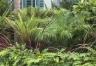 Indooroopillytropical-landscaping-2.jpg; ?>